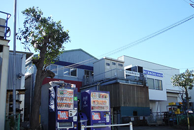 工場植栽・高木