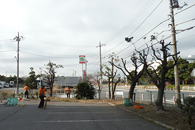 工場植木・高木
