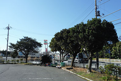 工場植木・高木