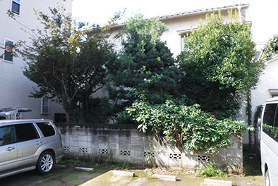 個人宅・植木剪定