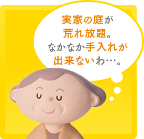 実家の庭が荒れ放題。なかなか手入れが出来ないわ…。