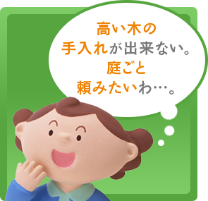 高い木の手入れが出来ない。庭ごと頼みたいわ…。