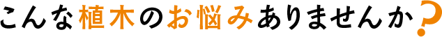 こんな植木のお悩みありませんか?